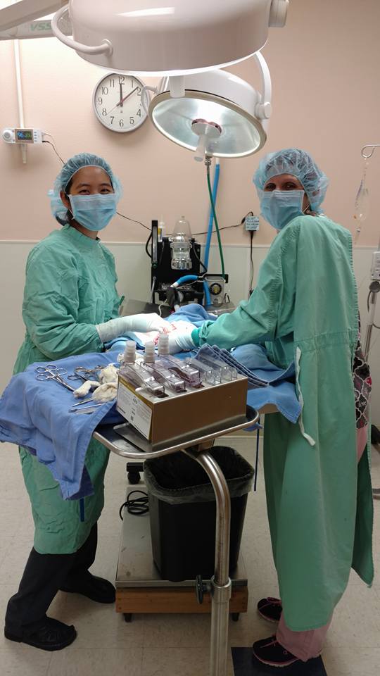 vets operate pet