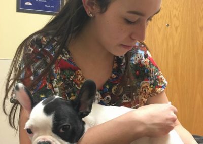 veterinarian holding dog