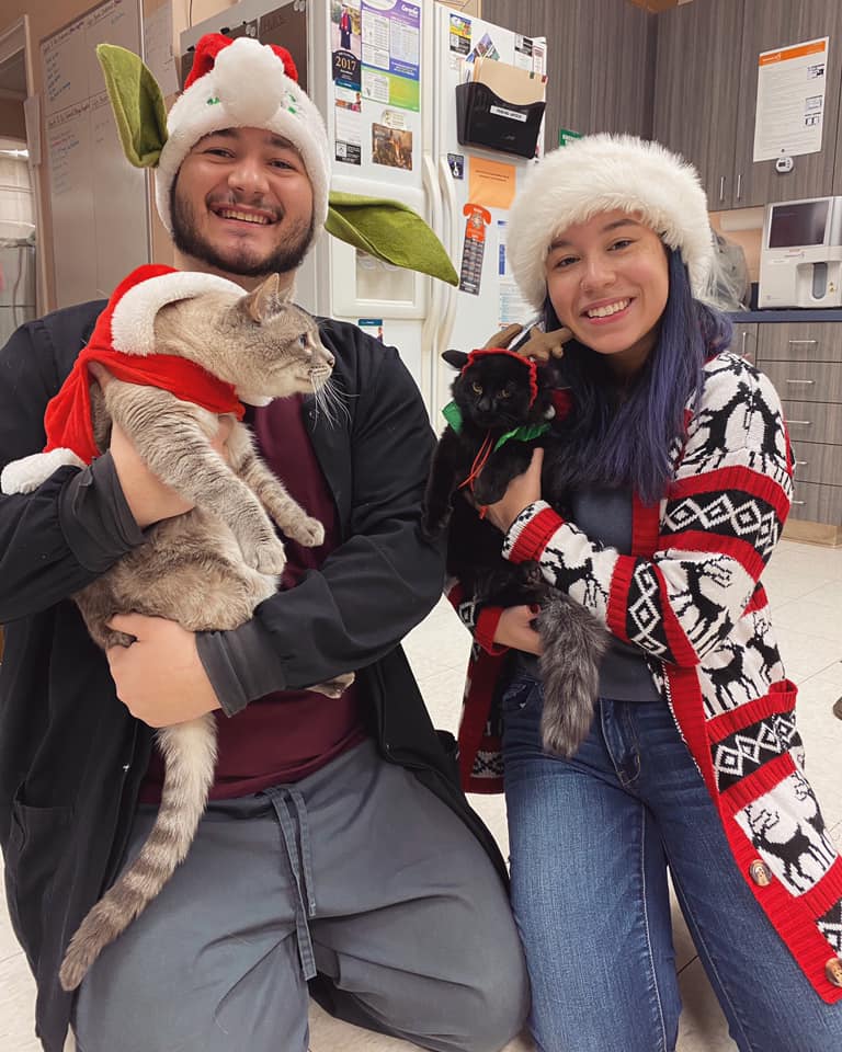 a girl and a boy hold cat