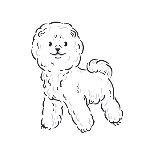 companion dog icon