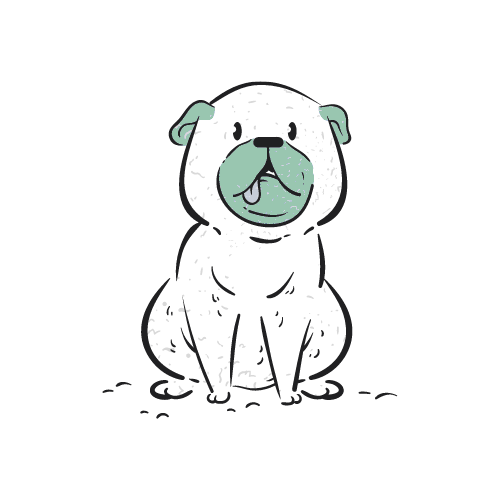 companion dog icon